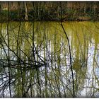 REFLETS SOUS CIEL GRIS.