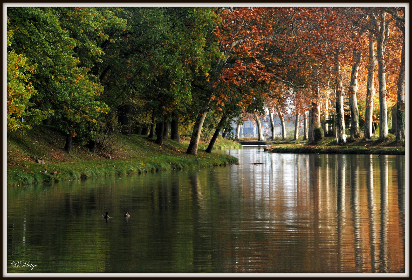 reflets sur canal du midi