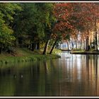 reflets sur canal du midi