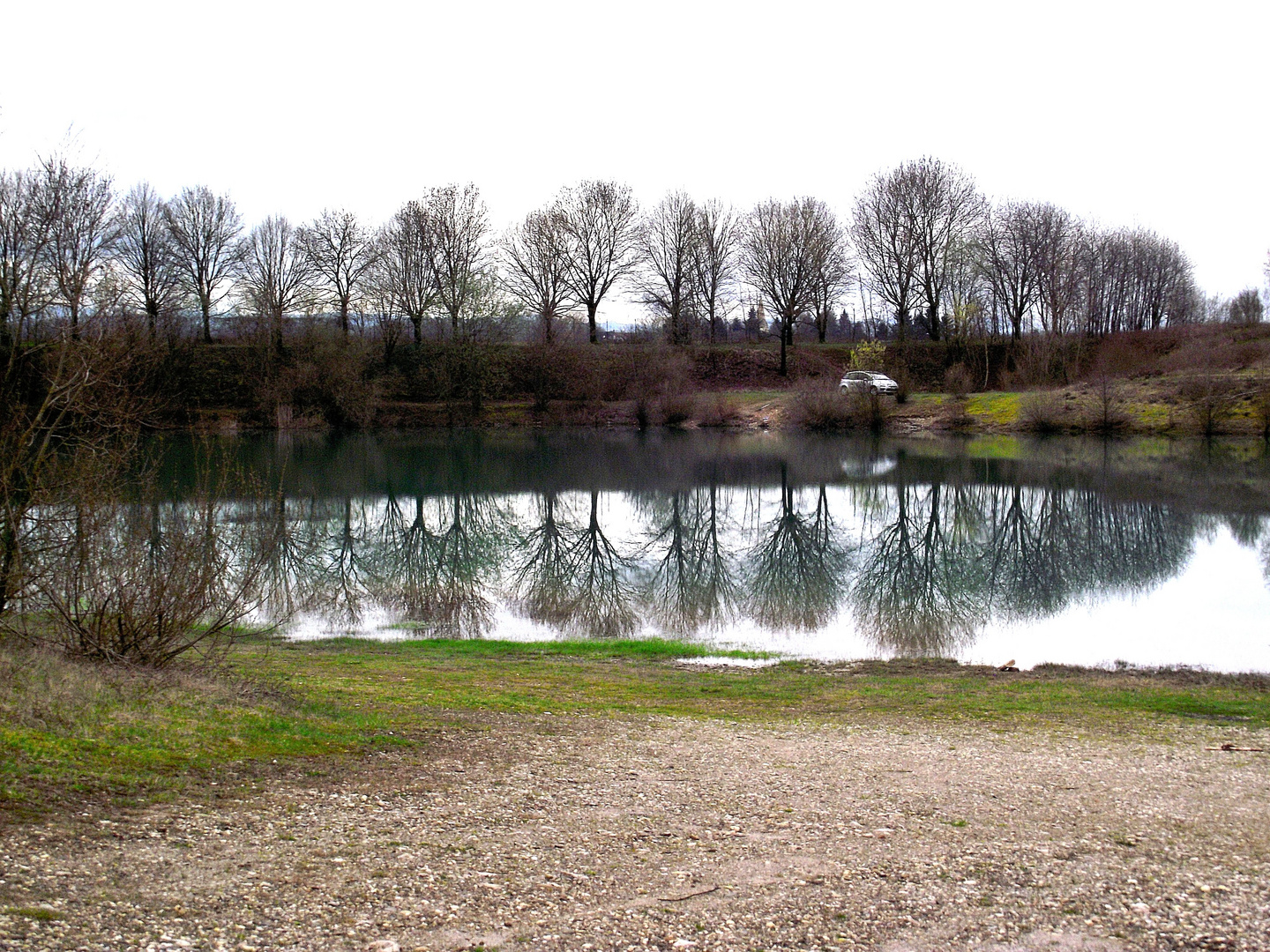 REFLETS SUR L ETANG