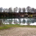 REFLETS SUR L ETANG