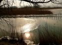 Reflets sur la glace de Josiane FERRET 