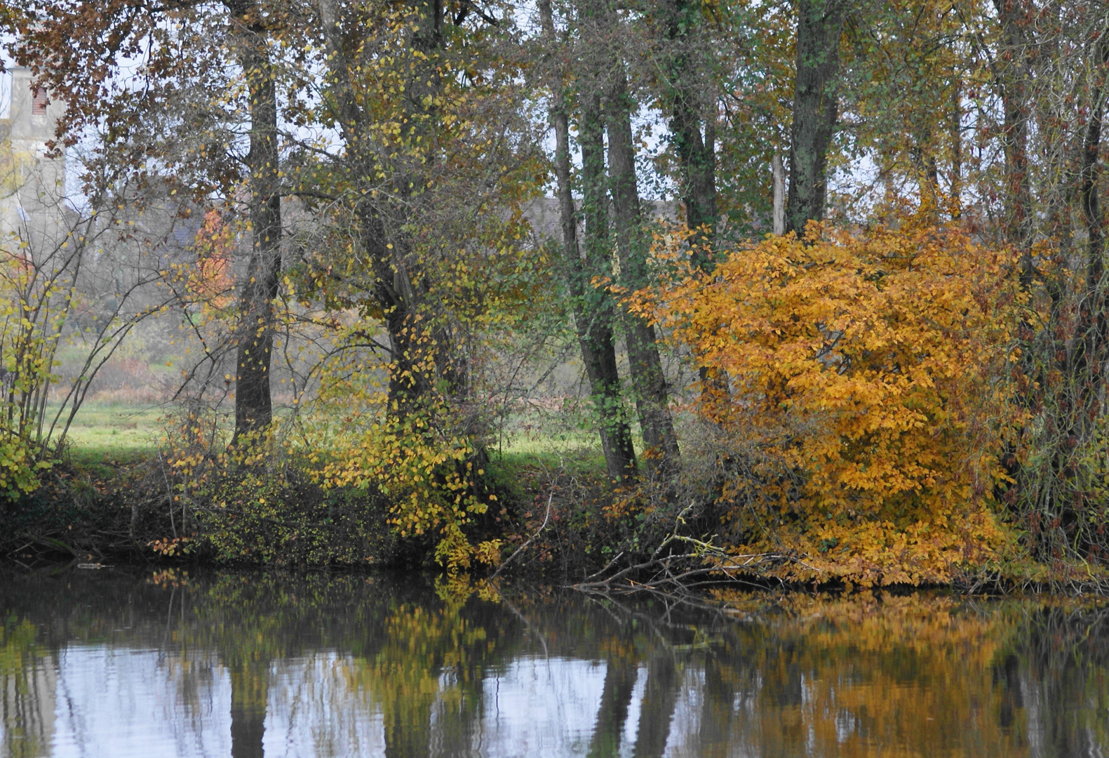 Reflets sur la Saône