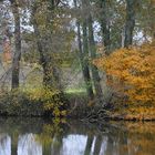 Reflets sur la Saône