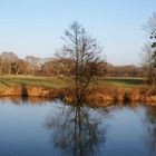 reflets sur le canal du doubs