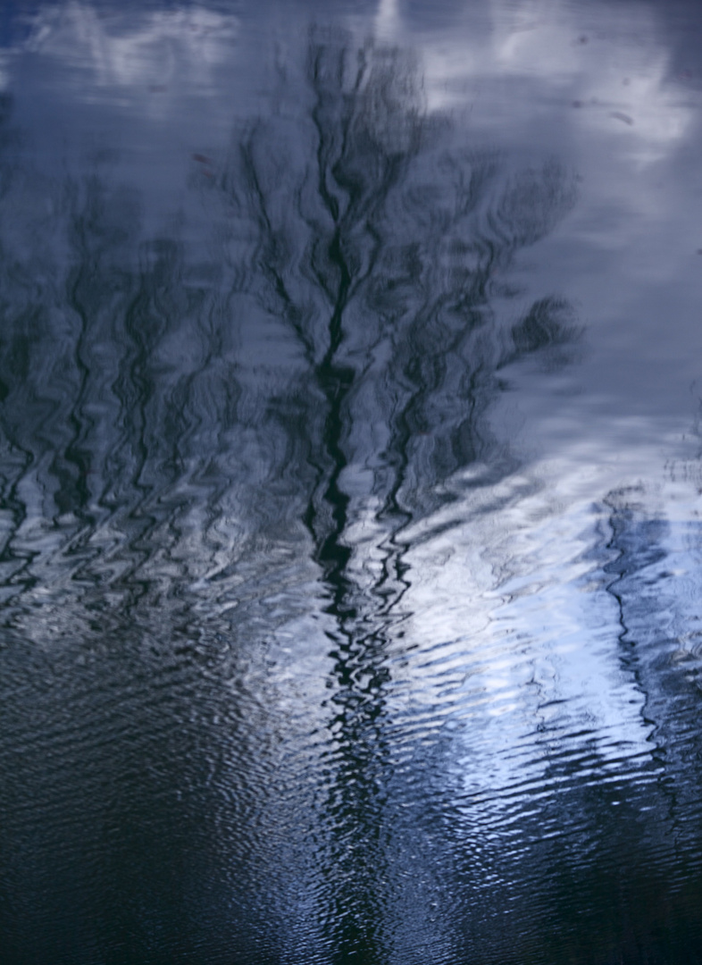 reflets sur le ciron 2