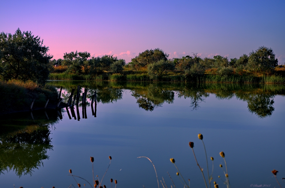 Reflets sur le lac