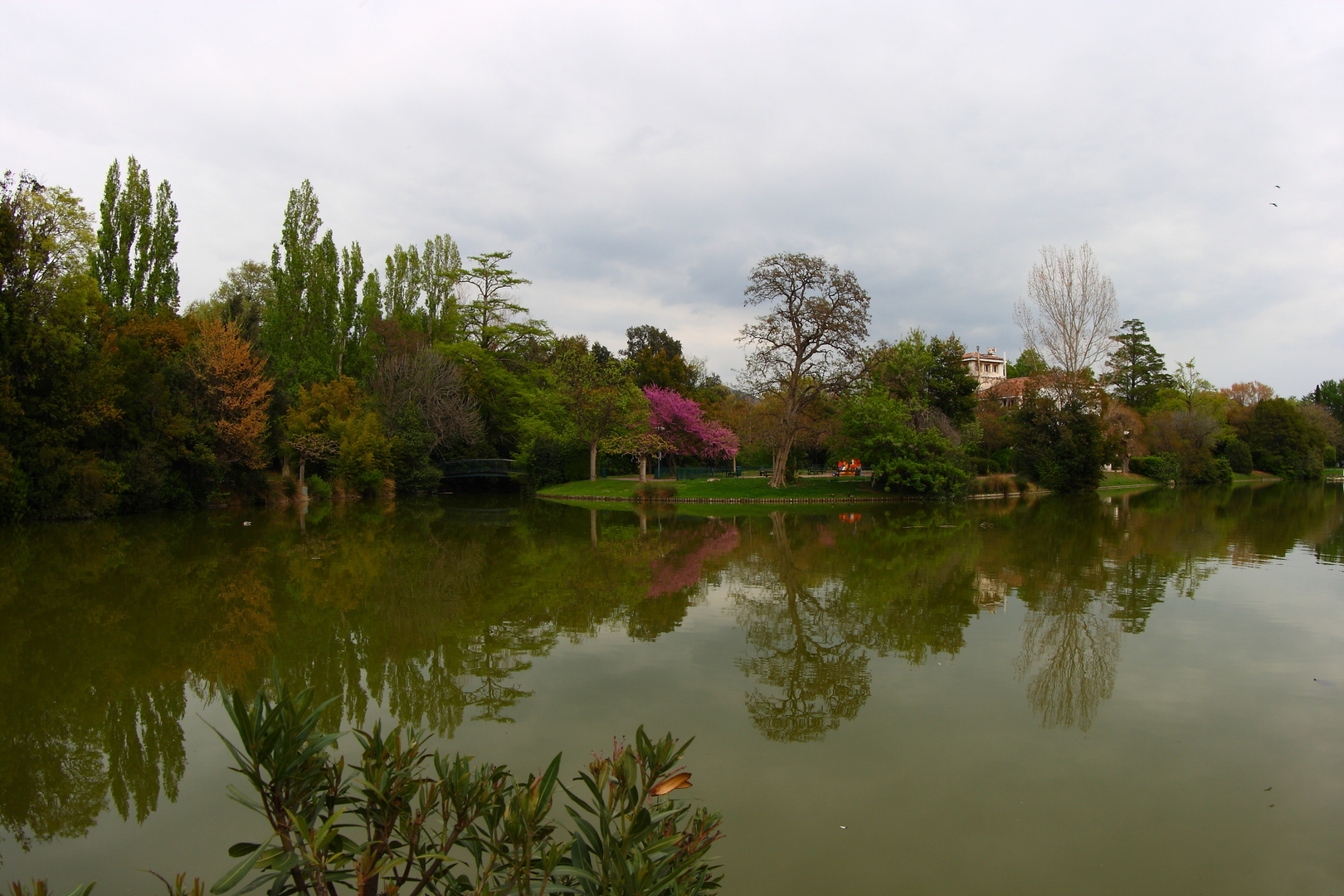 Reflets sur le lac 