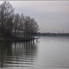 Reflets sur le lac