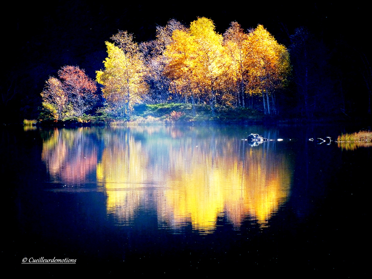 reflets sur le lac