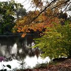 reflets sur le lac de chrystus (st paul les dax !