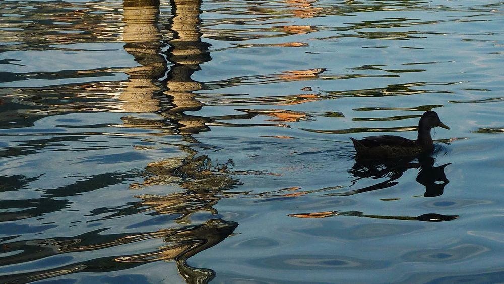 REFLETS SUR LE LAC DE COME