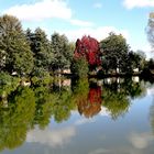 Reflets sur le lac