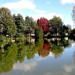 Reflets sur le lac