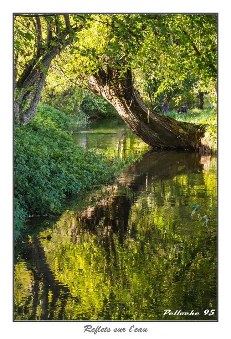 Reflets sur l'eau