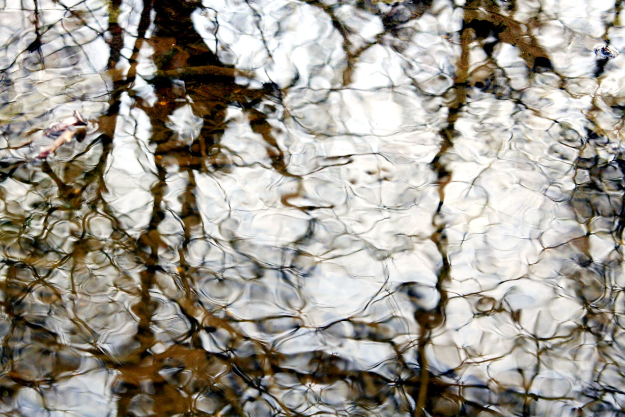 Reflets sur l'eau...