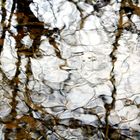 Reflets sur l'eau...