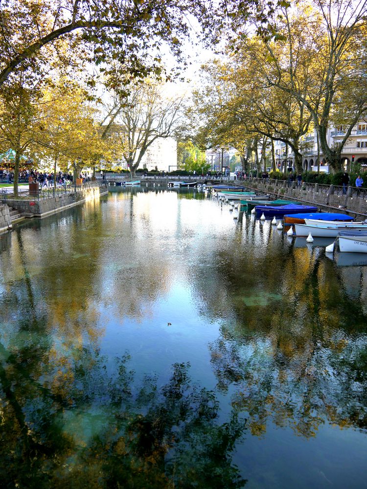 Reflets sur l'eau