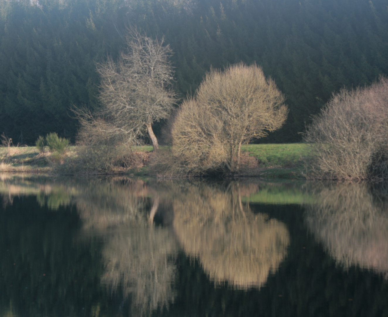 REFLETS SUR L'ETANG