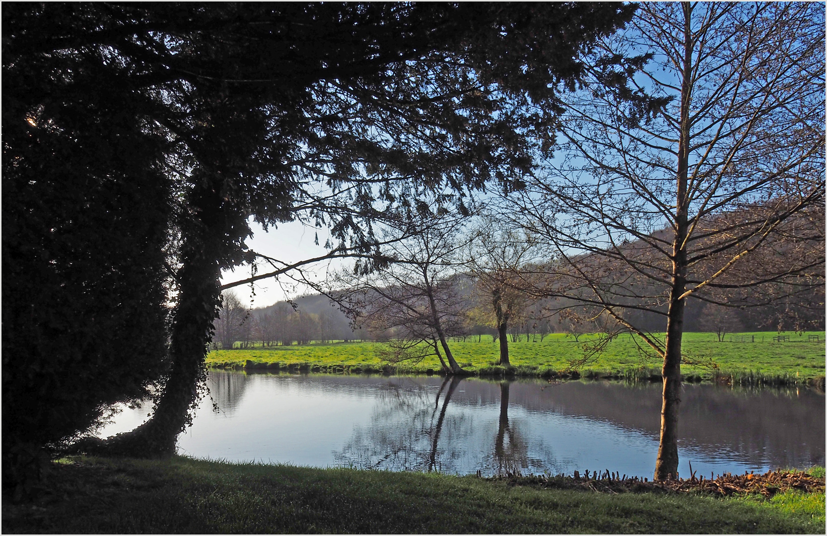 Reflets sur l'étang