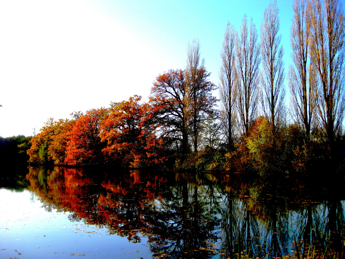 Reflets sur l'étang du Mouiln Neuf