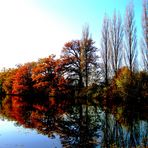 Reflets sur l'étang du Mouiln Neuf