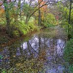 Reflets sur l'Yerres