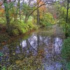 Reflets sur l'Yerres