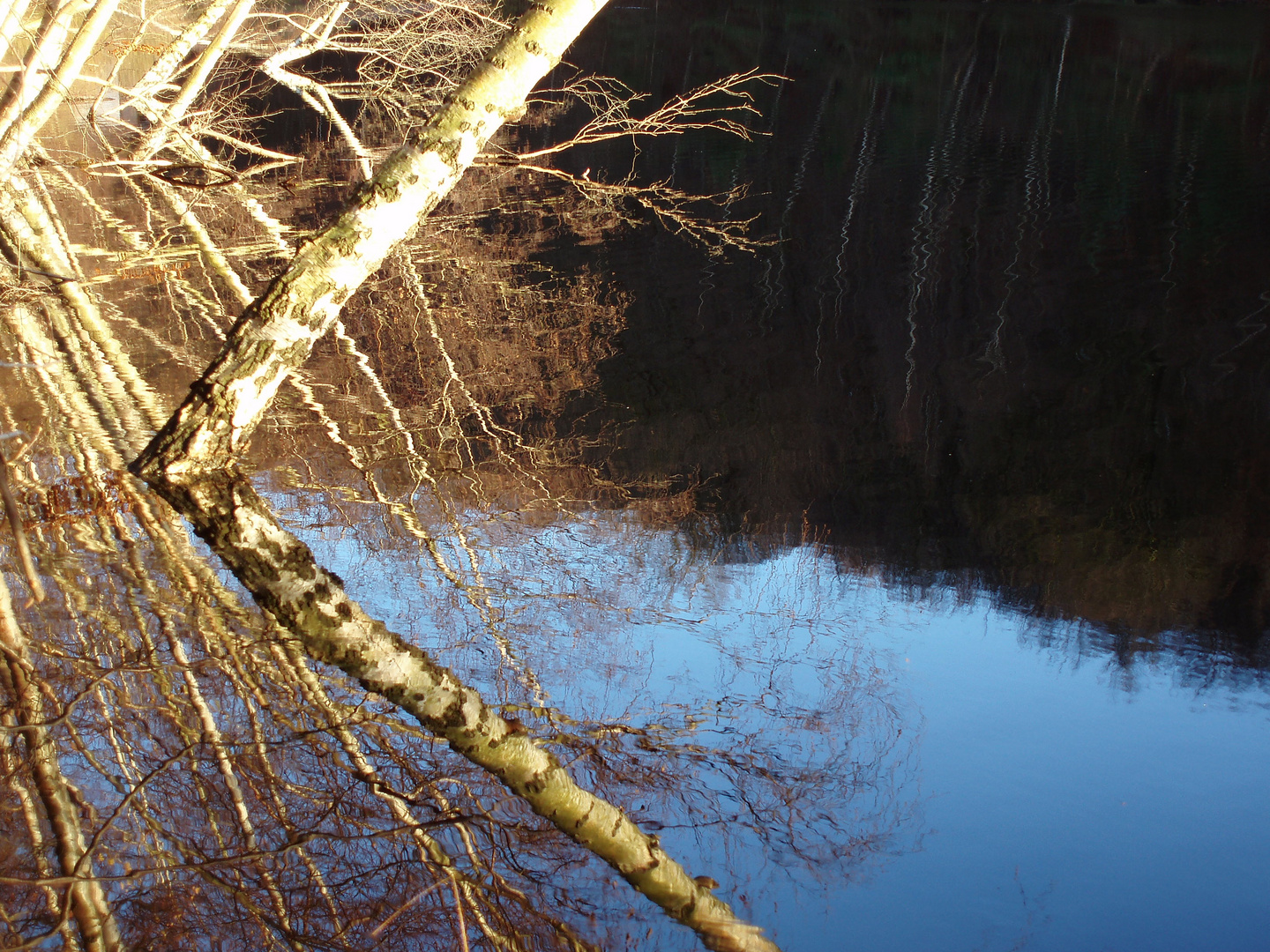 Reflets symétrique