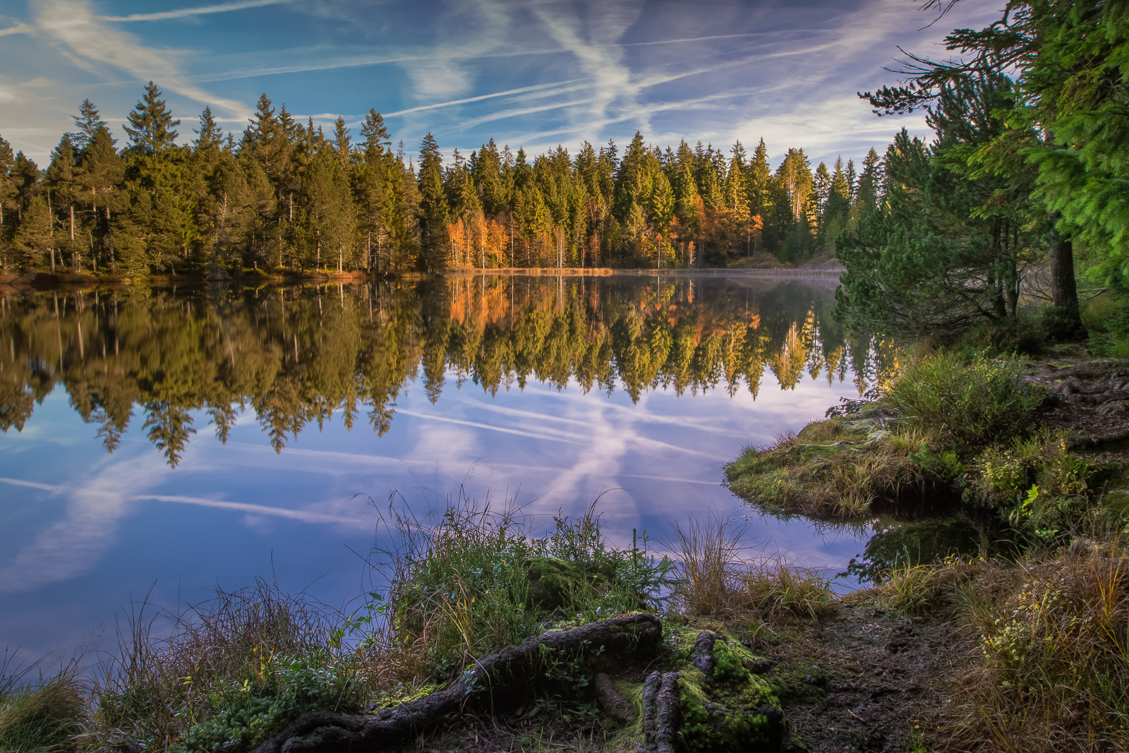 Reflets toujours