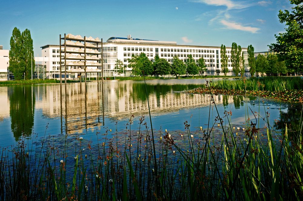 REFLEXE EINER STADT