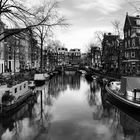 Reflexes of Amsterdam