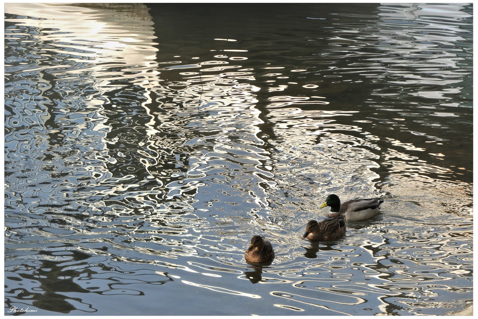 Reflexion des Wassers