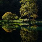 Réflexion faite à l'Etang de Bethmale !