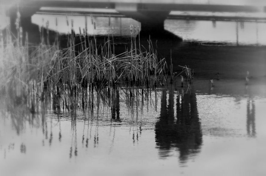 Reflexion from a Bridge