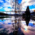 Reflexion im Moselhochwasser