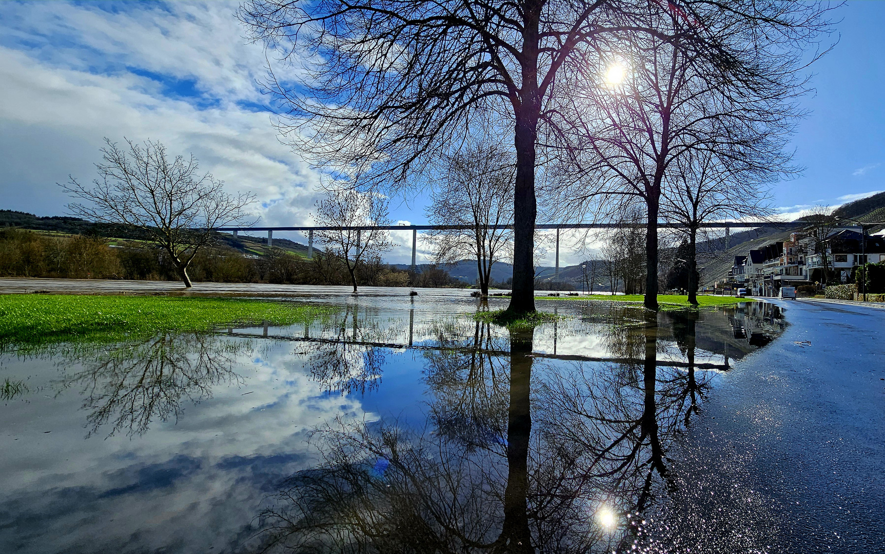 Reflexion im Moselhochwasser