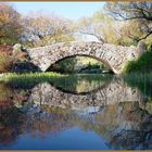 Reflexion Pond-bridge