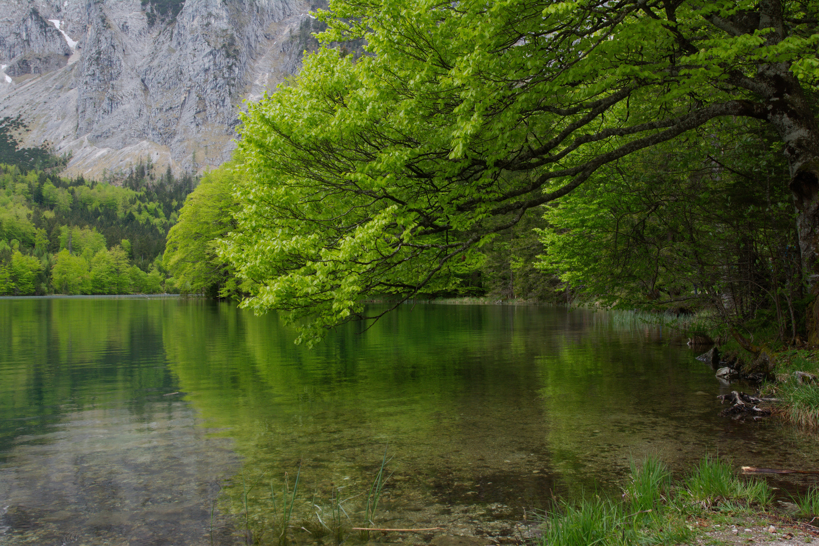 Reflexionen am Hinteren Langbathsee...