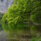 Reflexionen am Hinteren Langbathsee...