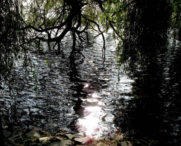 Reflexionen am See