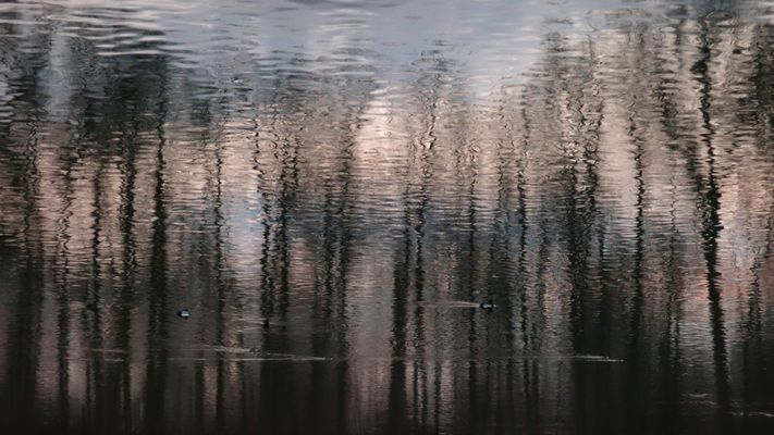 Reflexionen auf dem kleinen Teich...