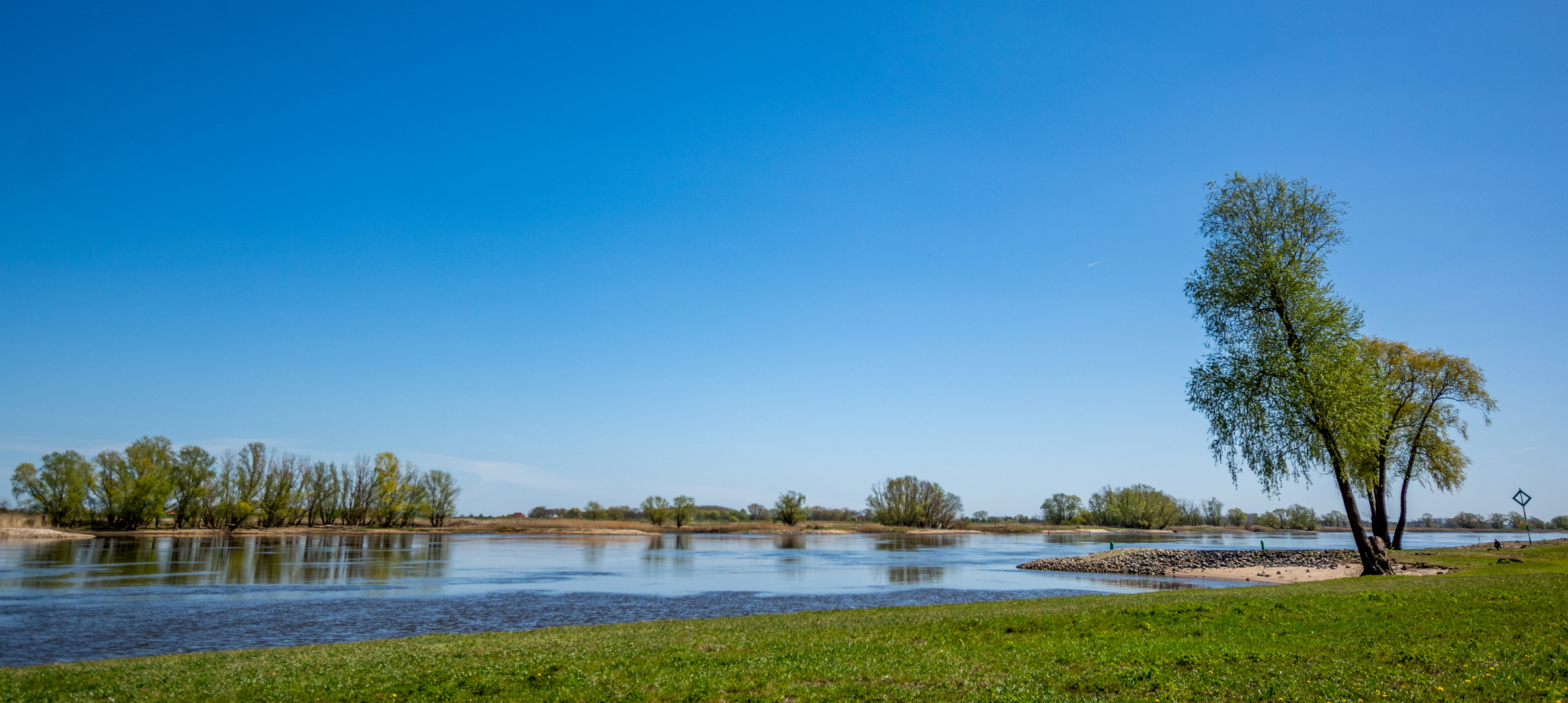 Reflexionen auf der Elbe