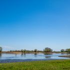 Reflexionen auf der Elbe