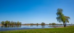 Reflexionen auf der Elbe