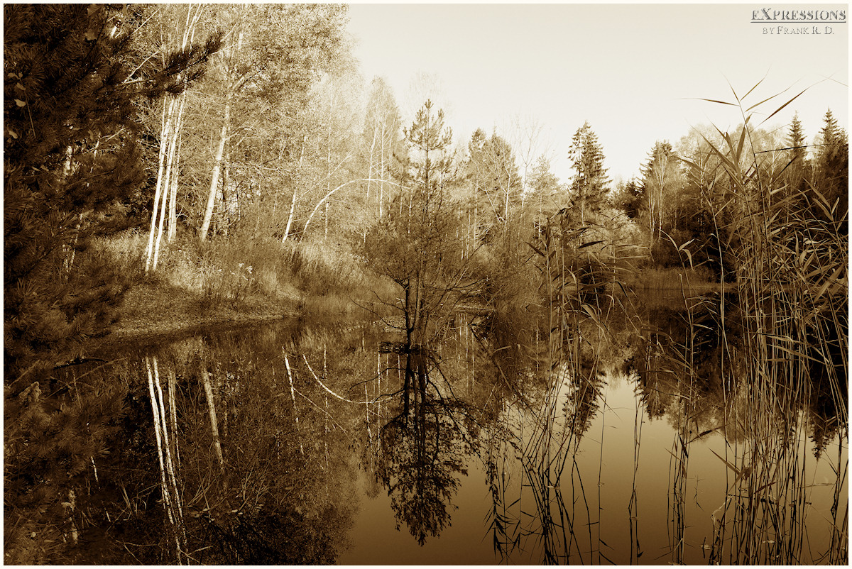 Reflexionen im Steinacher Ried