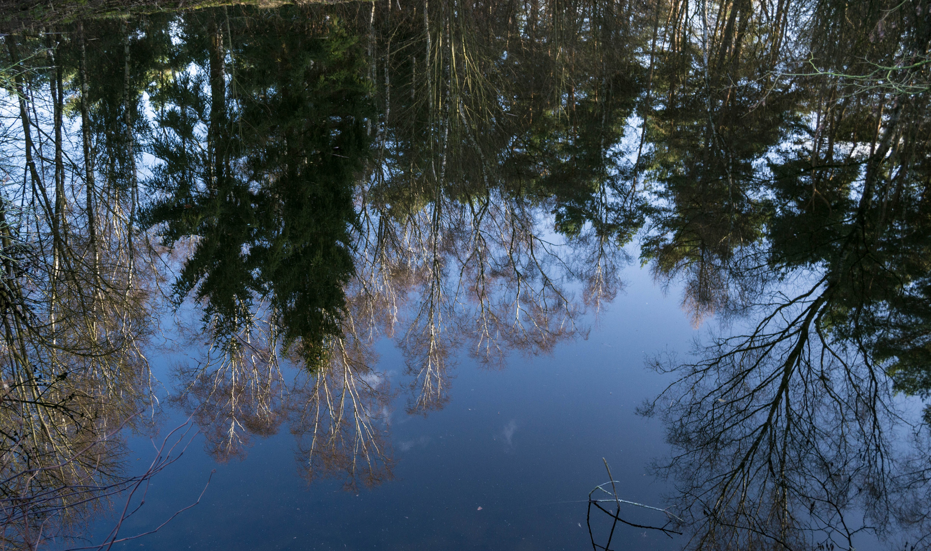 Reflexionen im Wasser