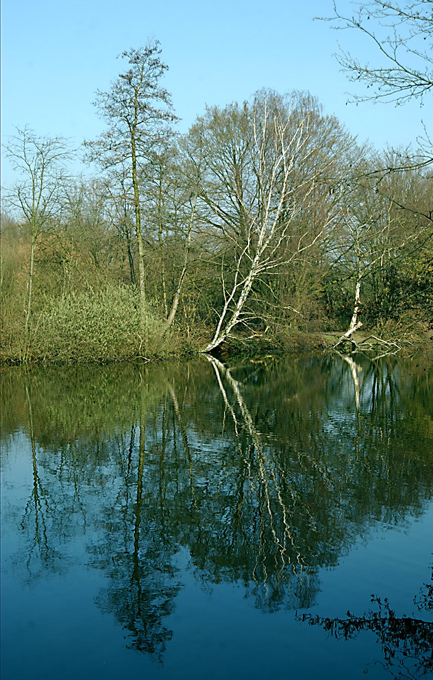 Reflexionen im Wasser