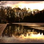 Reflexionen nach dem Trauerregen