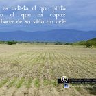 REFLEXIONES DIARIAS 10